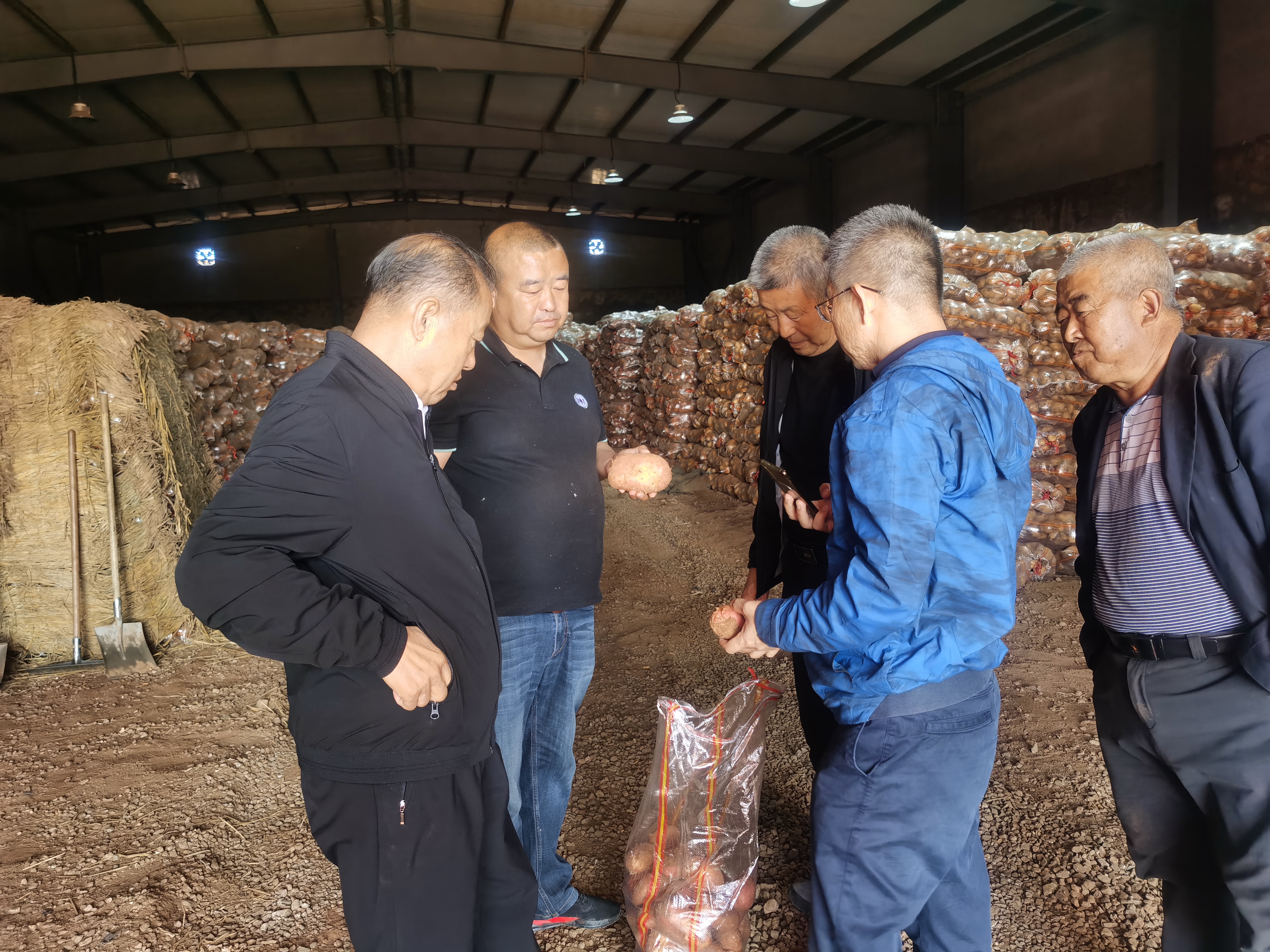 資源對接，互惠共贏 借助商協(xié)會(huì)平臺(tái)優(yōu)勢助力內(nèi)蒙古馬鈴薯 企業(yè)開拓山東市場